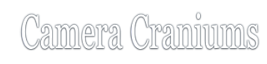 logo5B45D.png