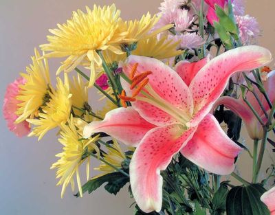 Flowers
