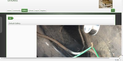 tgallery IE11
