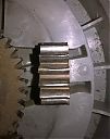 pinion