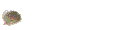 tumbleweed
