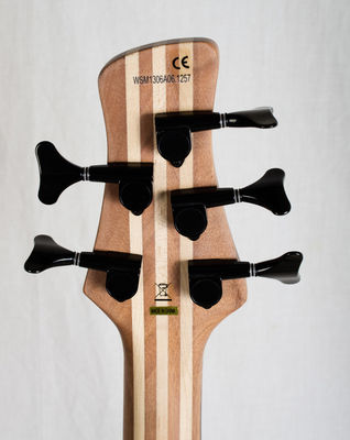 HBZ 2005 headstock rear

